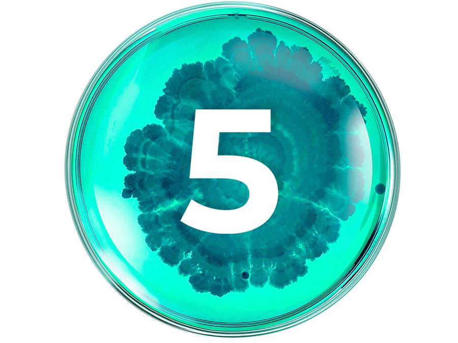 A teal-colored circular shape with a large white number 5 in the center. The background has a textured, organic pattern resembling a petri dish culture or a fractal design, creating an intricate and visually interesting effect.