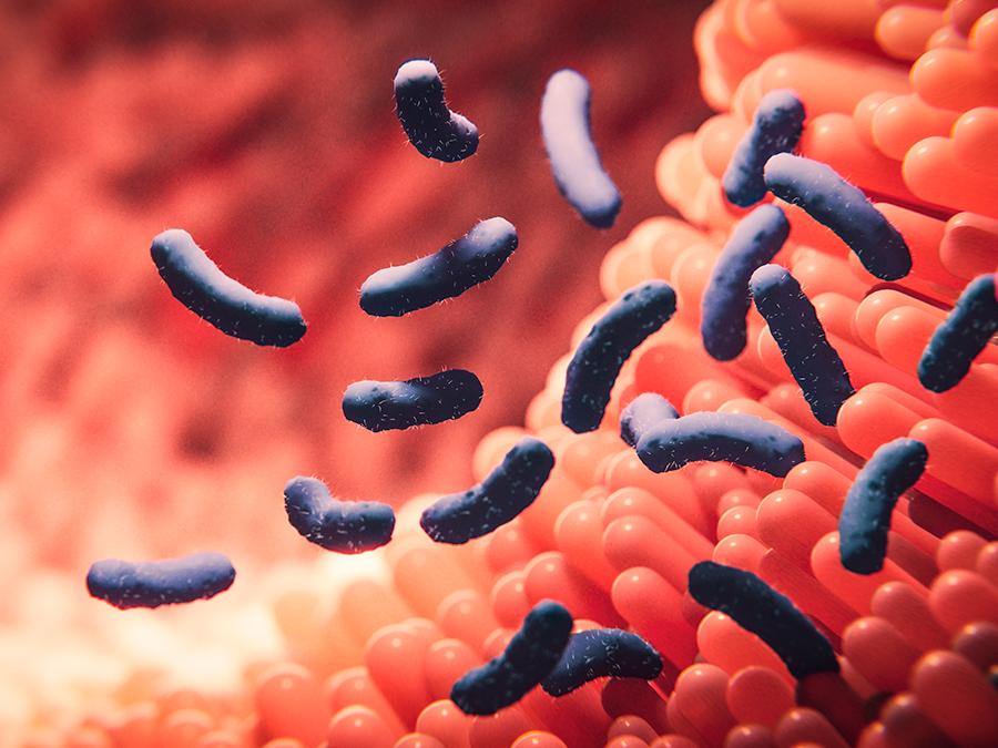 Illustration of blue, rod-shaped bacteria floating amidst orange, finger-like projections, likely representing a microscopic view of microorganisms in an intestinal or other mucus-rich environment. The scene has a soft focus with a blurred background.