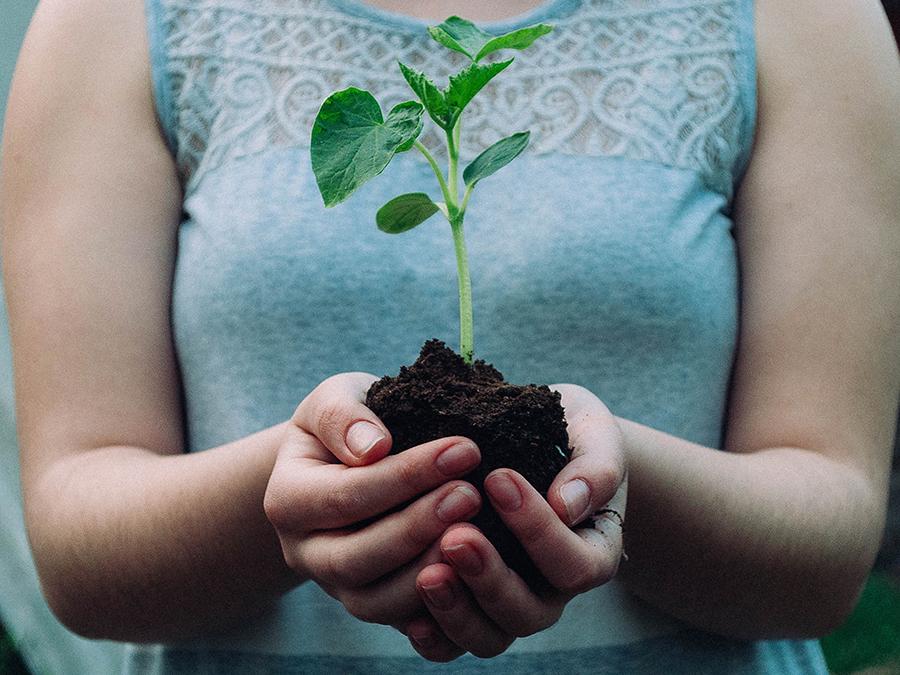 A person holding a small plant with soil in their cupped hands. The plant has green leaves and is being presented against a neutral background. The person is wearing a gray top with lace detailing on the shoulders. The image suggests themes of growth and nurturing.