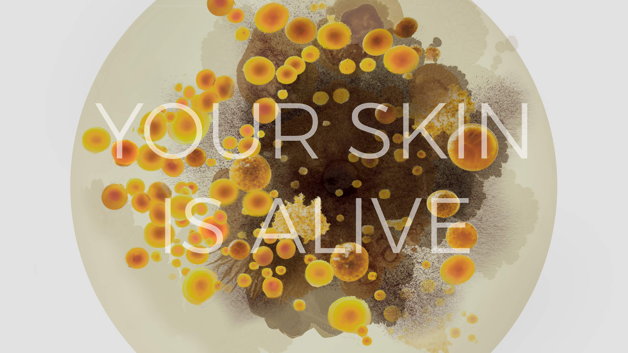 A petri dish with orange and brown bacteria colonies, overlaid with the transparent white text "YOUR SKIN IS ALIVE.